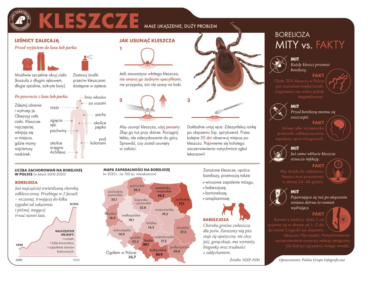 Co je kleszcz? Tylko krew! Kto jest jego ofiarą w Polsce?