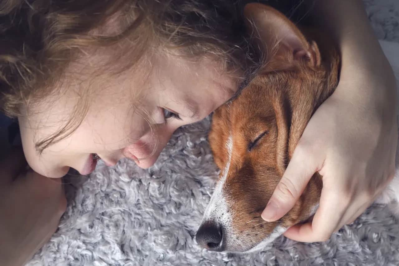 Uśpienie psa: Kiedy to akt miłosierdzia? Przewodnik dla opiekunów