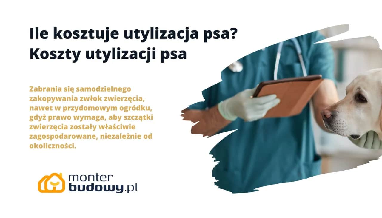 Koszty kremacji psa: Ile kosztuje godne pożegnanie pupila?