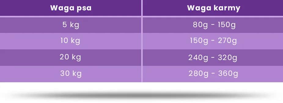 Ile razy karmić szczeniaka? Harmonogram i porady eksperta