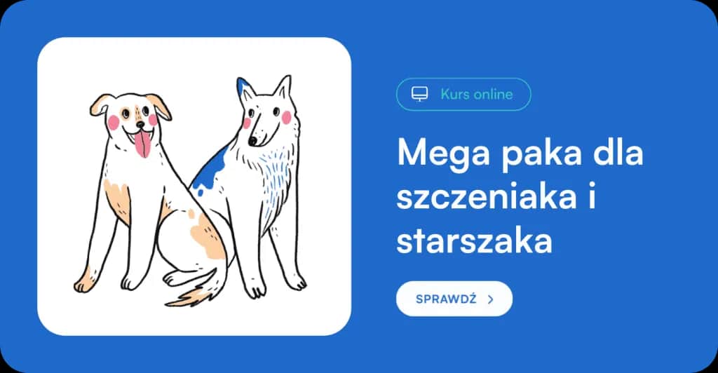 Szczeniak na dworze? Sprawdź, kiedy jest gotowy i jak go przygotować!