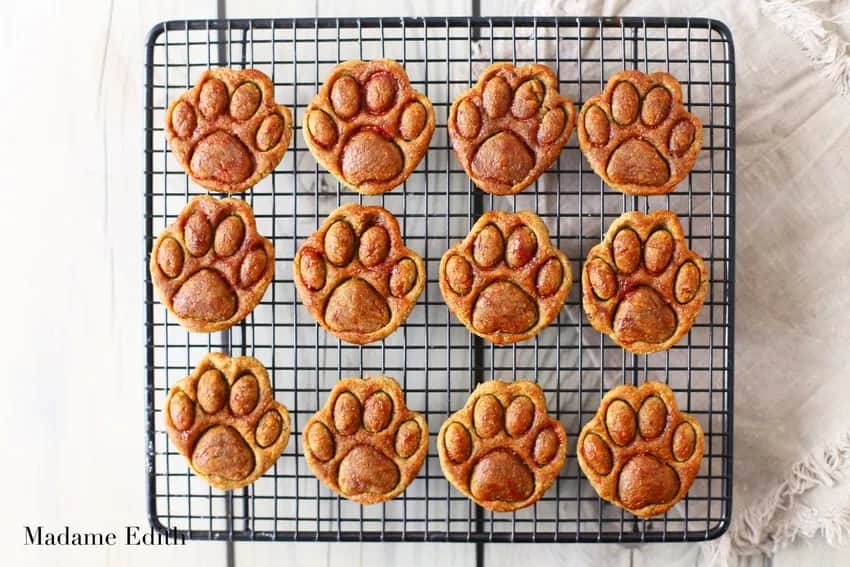 Domowe ciasteczka dla psa: Przepisy, składniki i sekrety trwałości